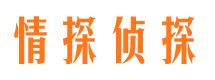 夏河侦探社